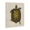 Stupell Industries Vintage Maritime Tortoise Canvas Design by Phillipa Katz